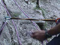 c005f.jpg (84714 octets)