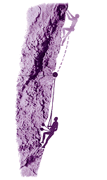 factch1.gif (37620 octets)
