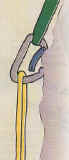 mousqu_ouvert_doigt_sur_rocher.JPG (8797 octets)