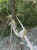 mise_en_tension_noeud_et_mouflage5.JPG (53638 octets)