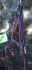 nd_coeur4.JPG (27080 octets)