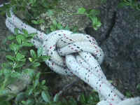 c015f.jpg (63345 octets)