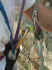 shunt_poitr_detail.JPG (66201 octets)